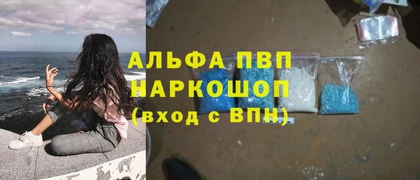ГАЛЛЮЦИНОГЕННЫЕ ГРИБЫ Белоозёрский