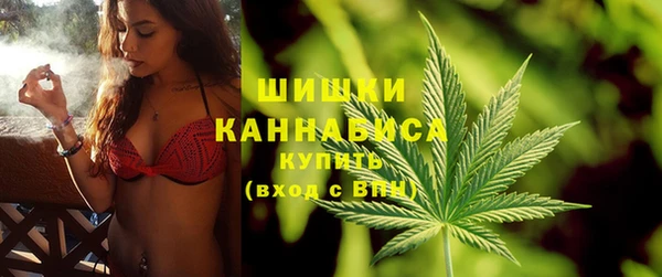 дмт Белокуриха
